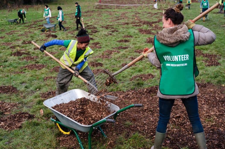 Volunteers planting trees in Beckenham Place Park