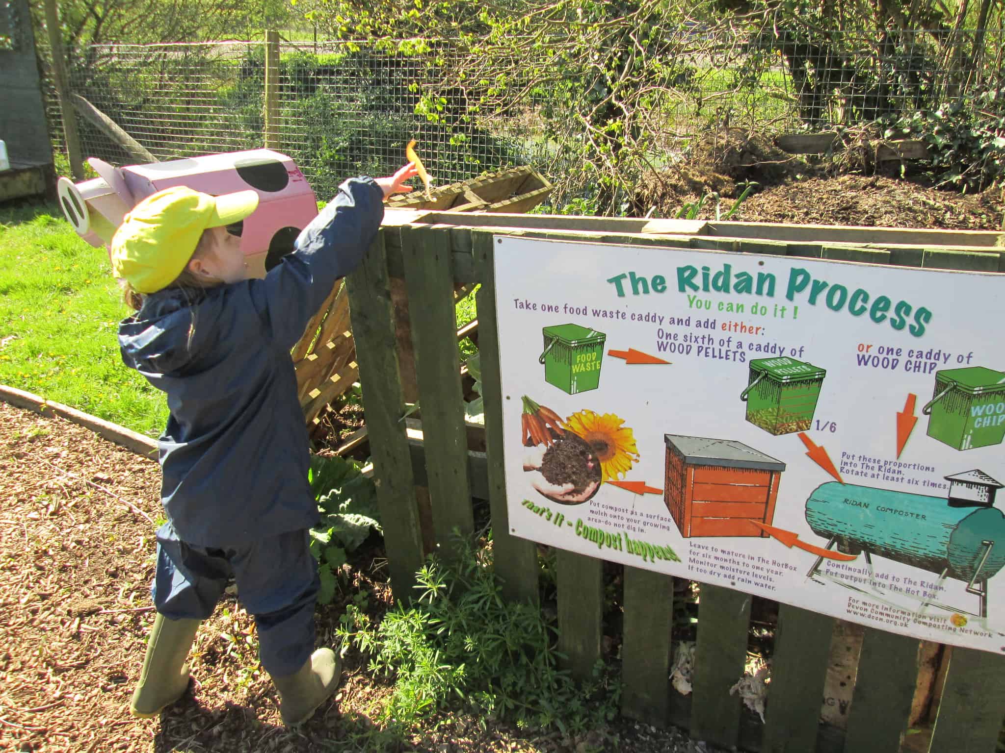 A child puts something in a composting bin