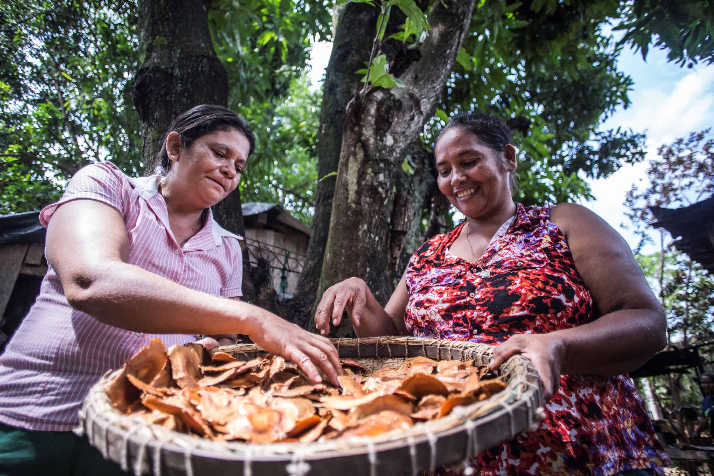 Two woman sorting through leaves