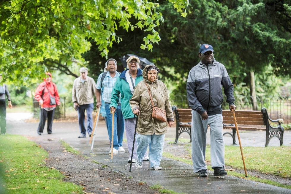Group of seven older people walking along a path in a green park using walking sticks.