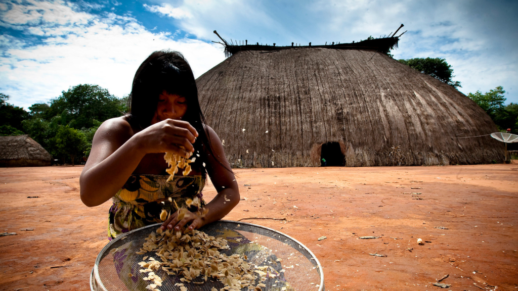 A photo of a woman sifting through seeds