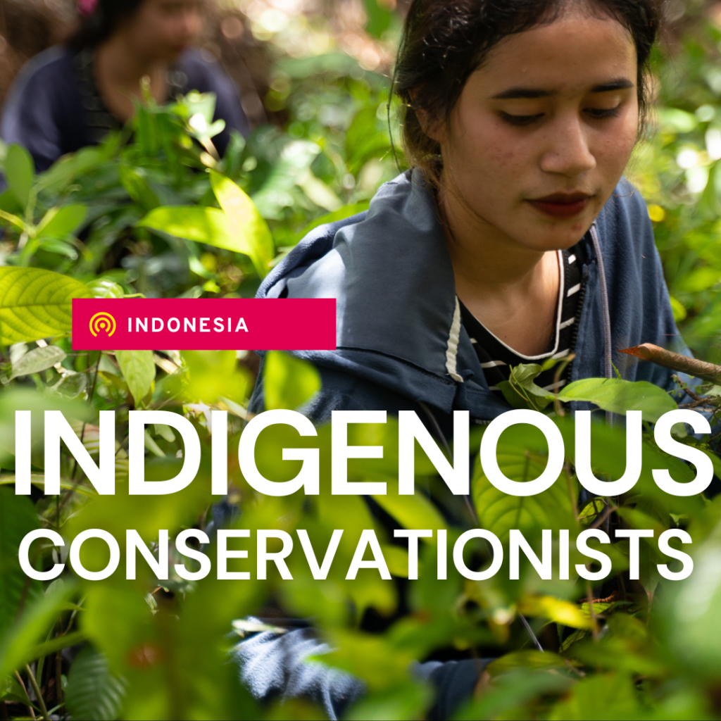 Asset with women among bushes with text stating 'Indigenous conservationists'