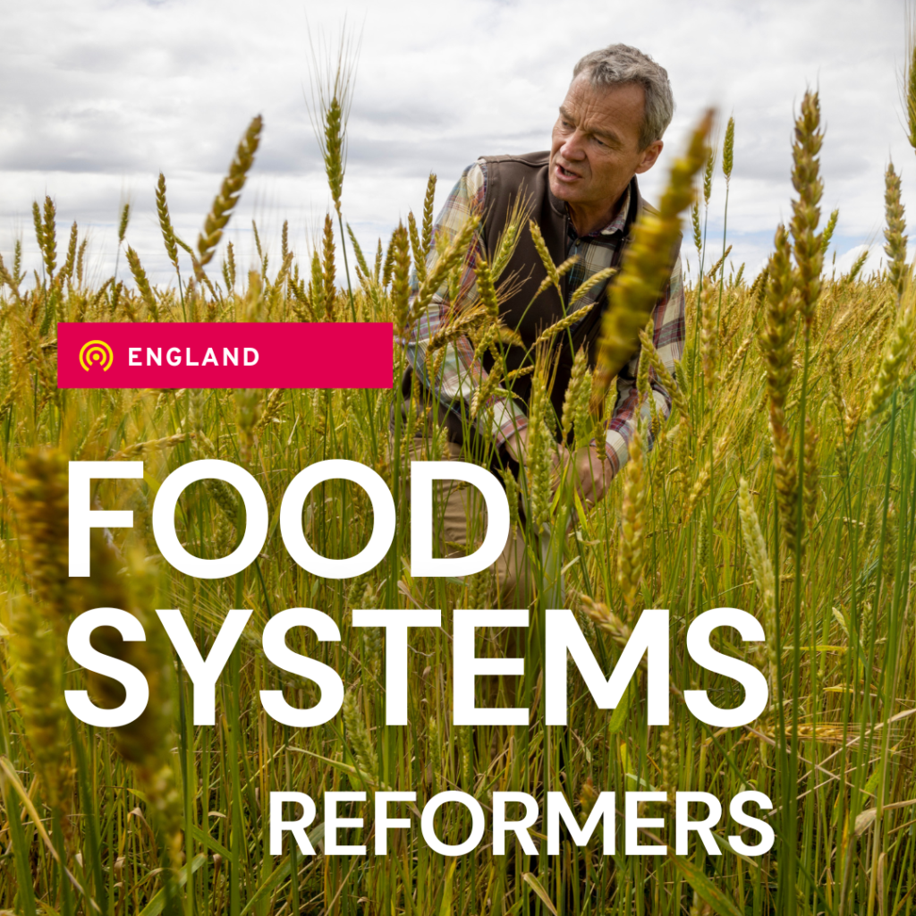 Asset with a farmer in the background with text stating 'Food systems Reformers'
