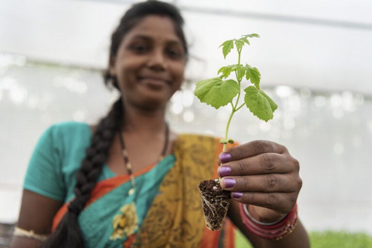 Tulsi Mahanto, Nursery Entrepreneur, poses for a photograph at her nursery in Kandabharati, India, June 28, 2022. With the intervention of Collectives for Integrated Livelihood Initiatives (CInI), farmers in Orissa have managed to increase their profits from agriculture. Photo by Saumya Khandelwal