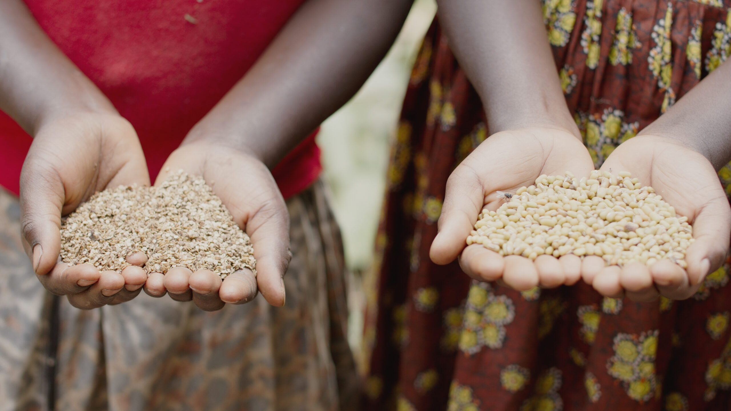 Two children hold handfuls of grains.