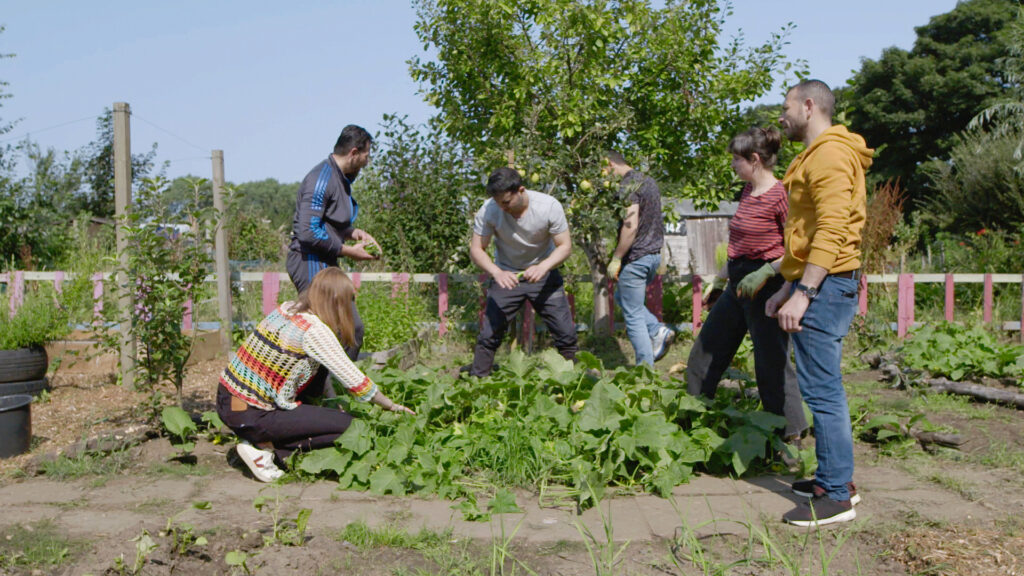 Five people gather to tend to a community garden.