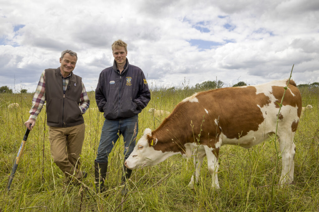 Two farmers standing in a field with a cow