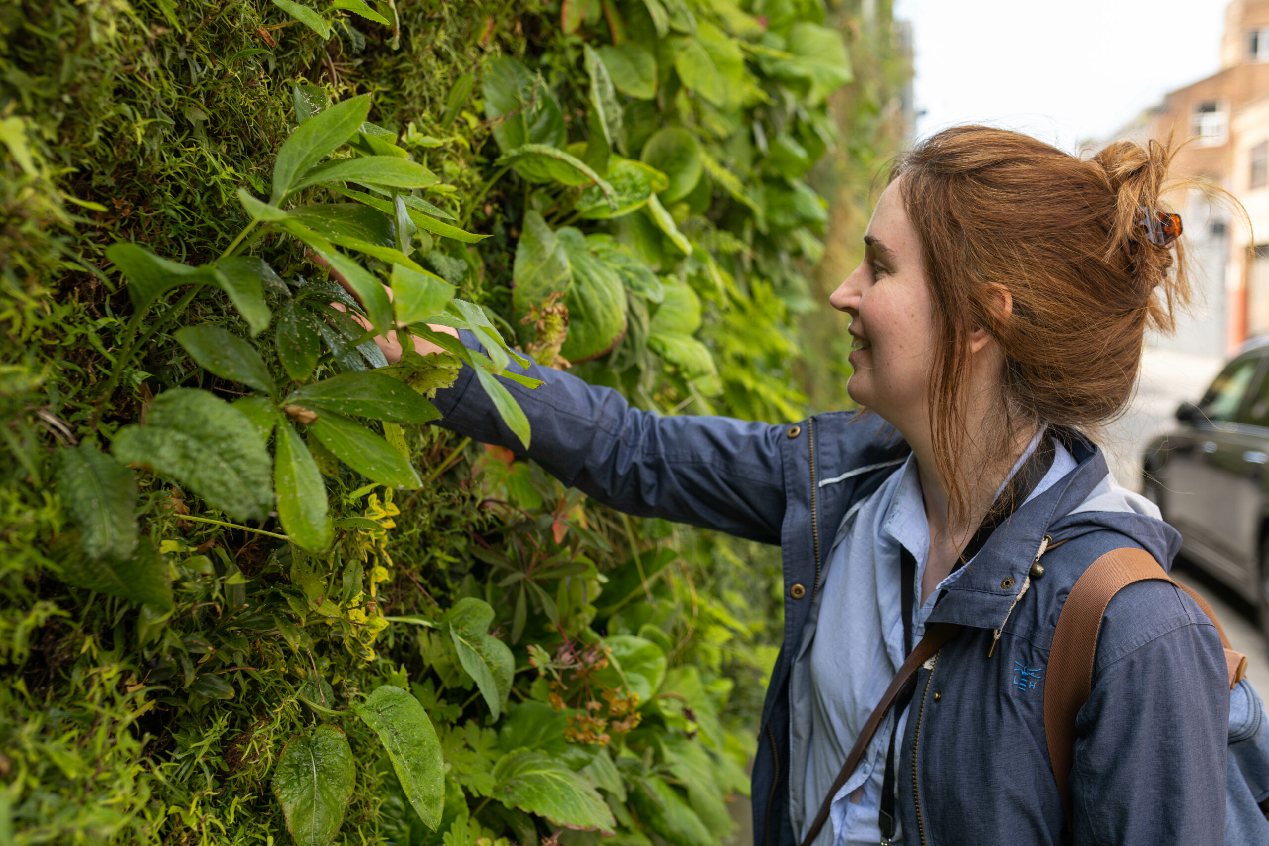 A women touching a green moss wall