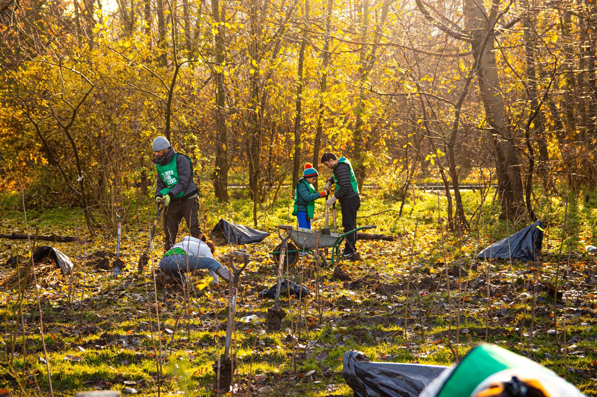 Volunteers planting trees in autumn